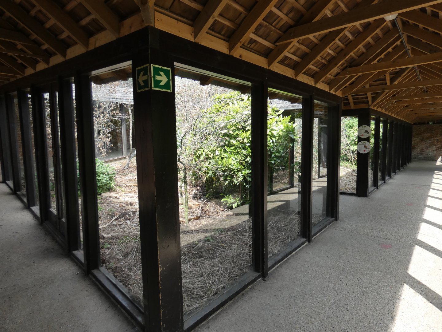 Life Among the Trees