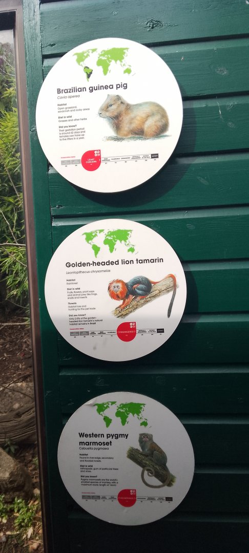 Life among the trees