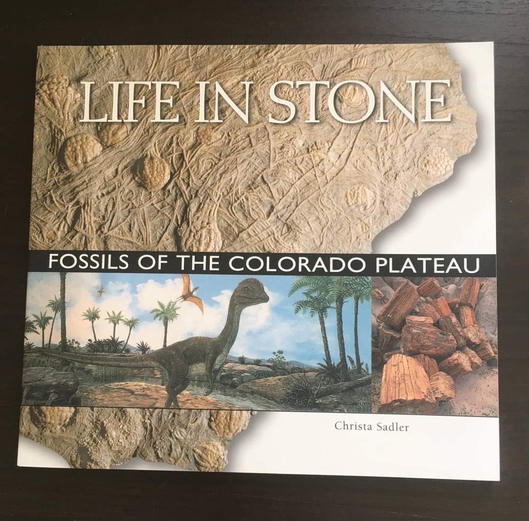 Life in Stone Fossils of the Colorado Plateau