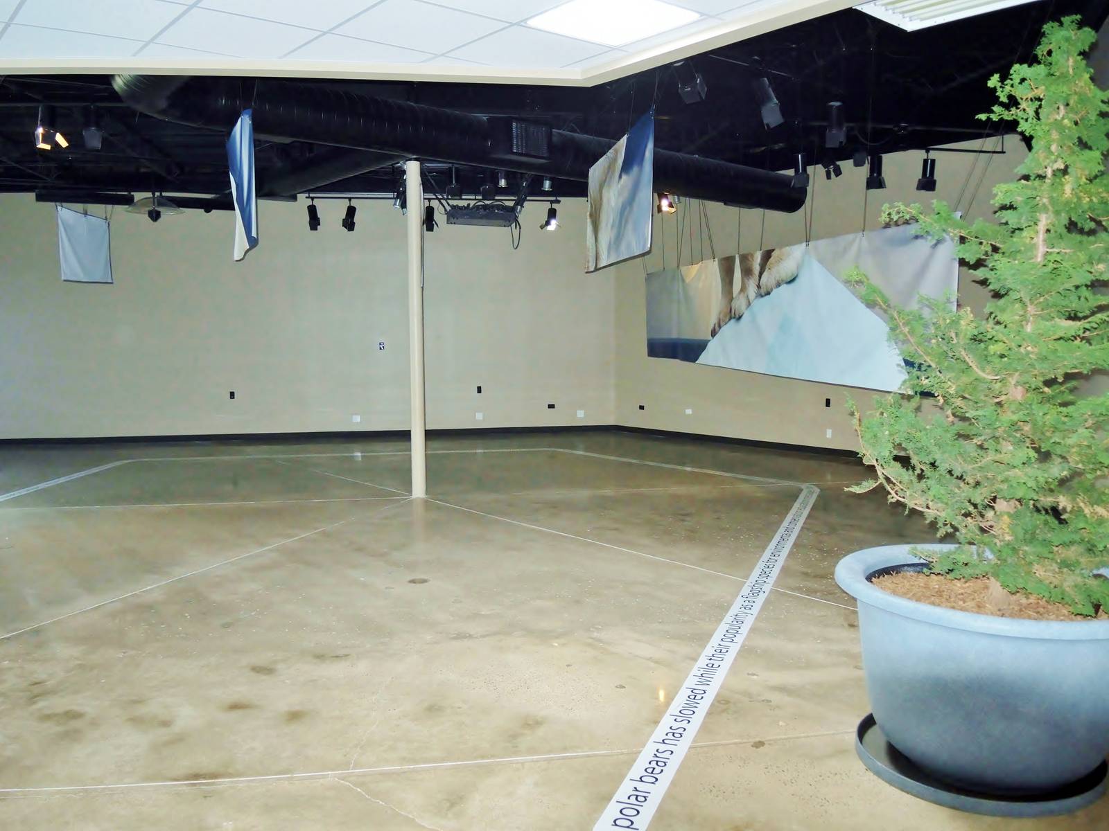 Life in the Cold - Empty Space (former Time Gallery exhibit)