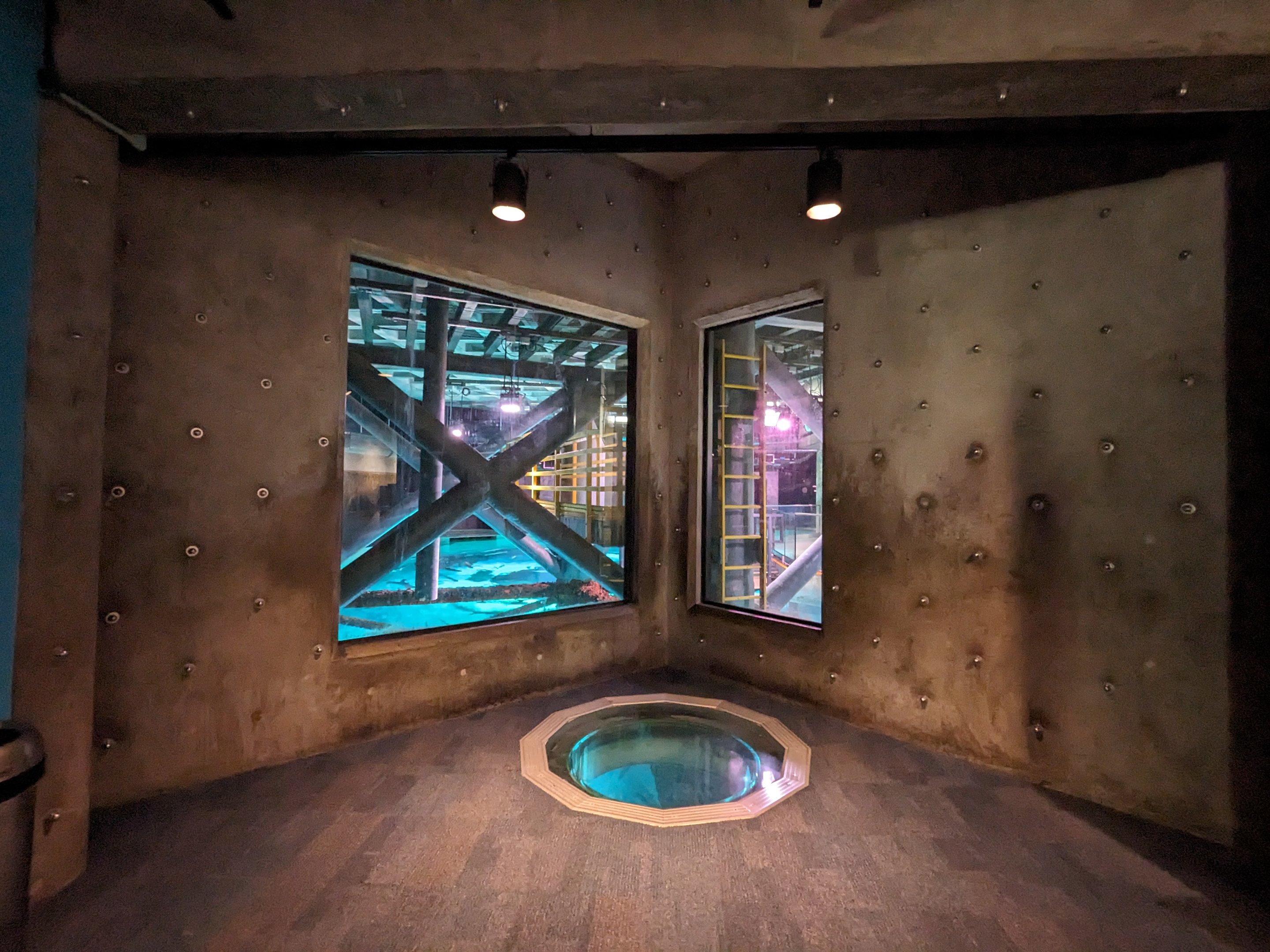 Life in the Gulf - Overlook glass