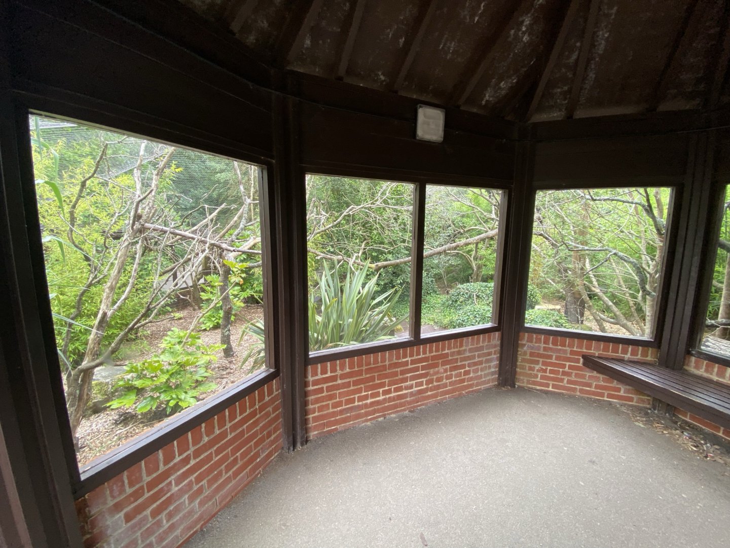 Life in the Trees - Binturong enclosure 120821