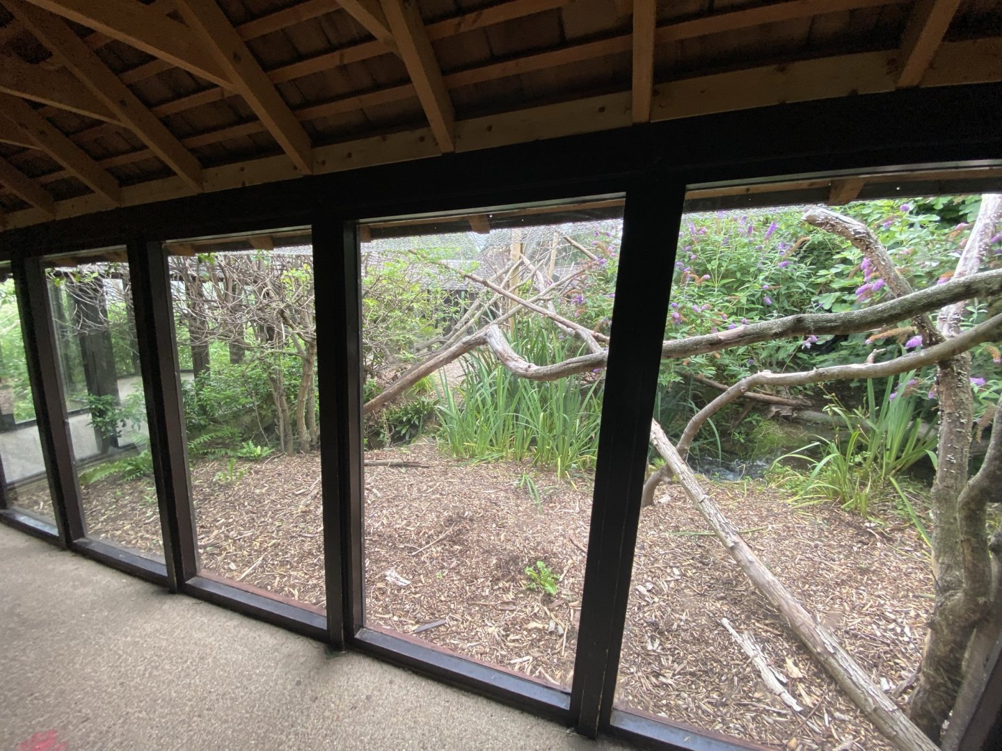 Life in the Trees - Lemur enclosure 120821