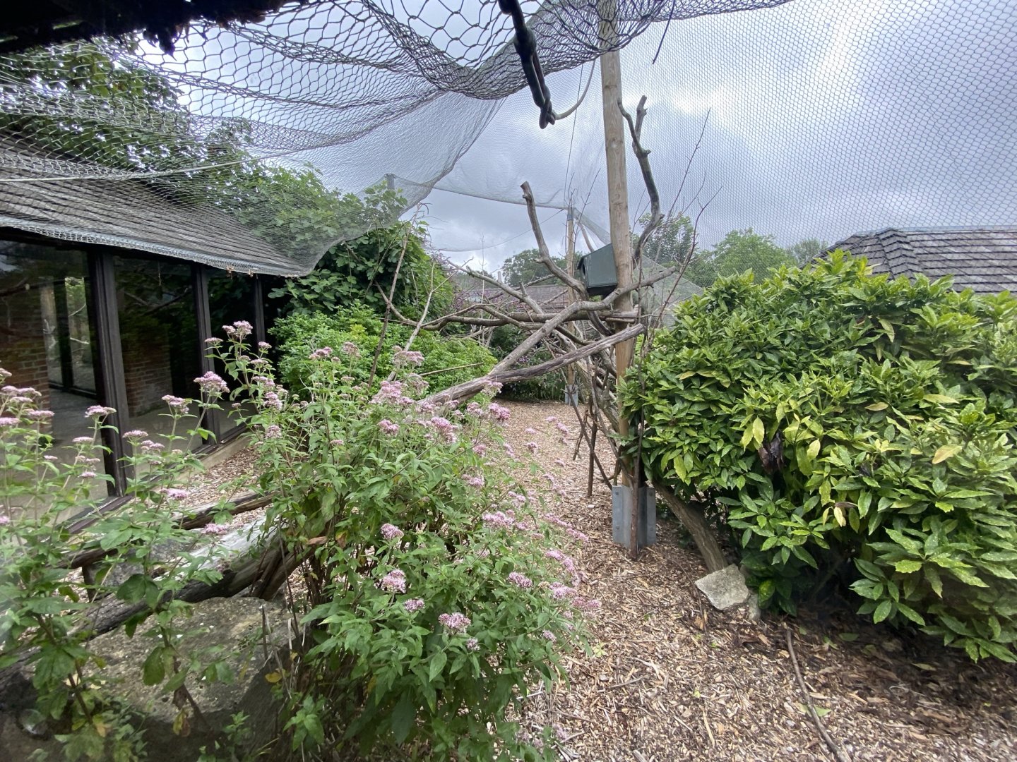 Life in the Trees - Lemur enclosure 120821