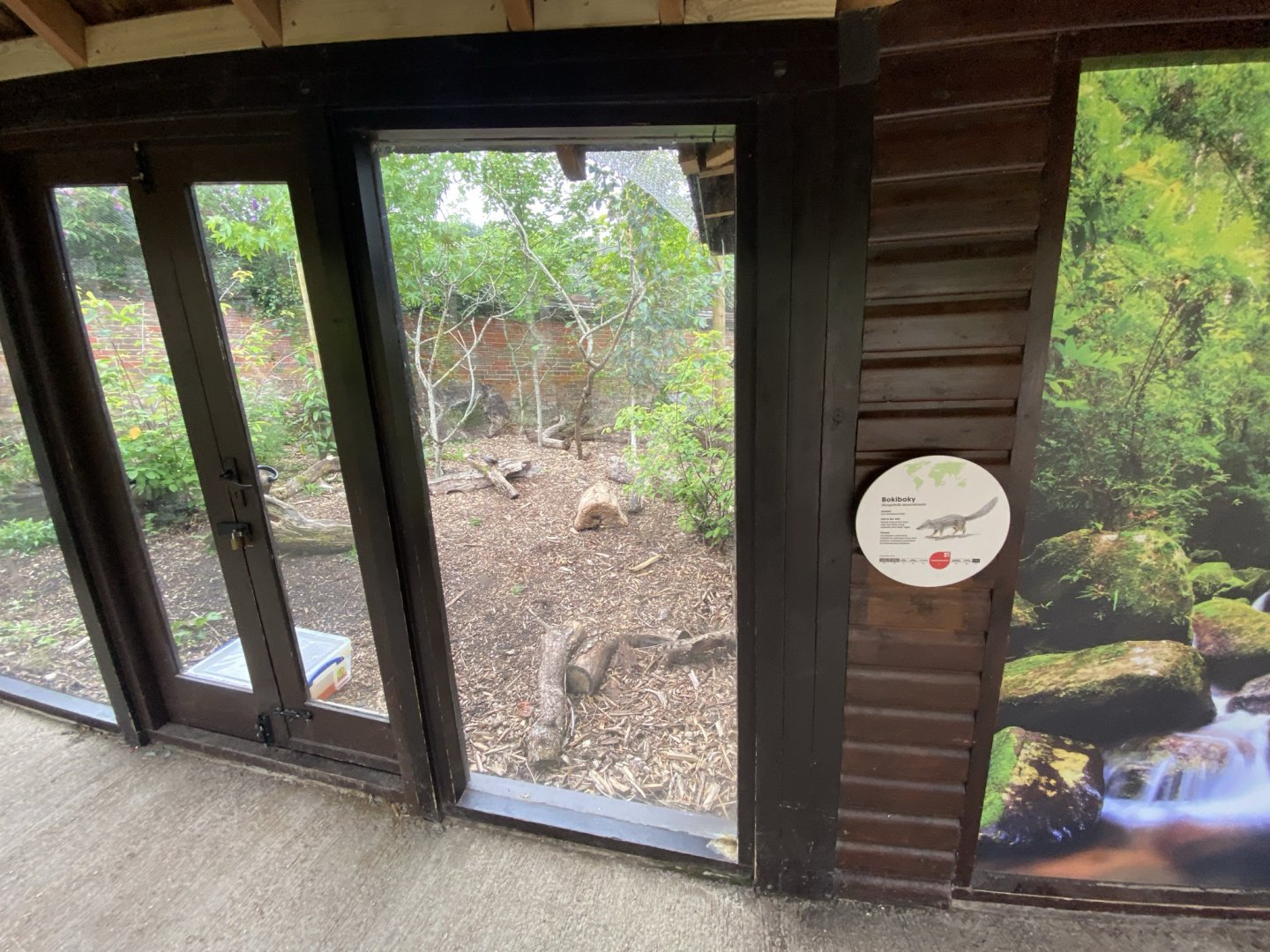 Life in the Trees - Narrow-striped mongoose enclosure 120821