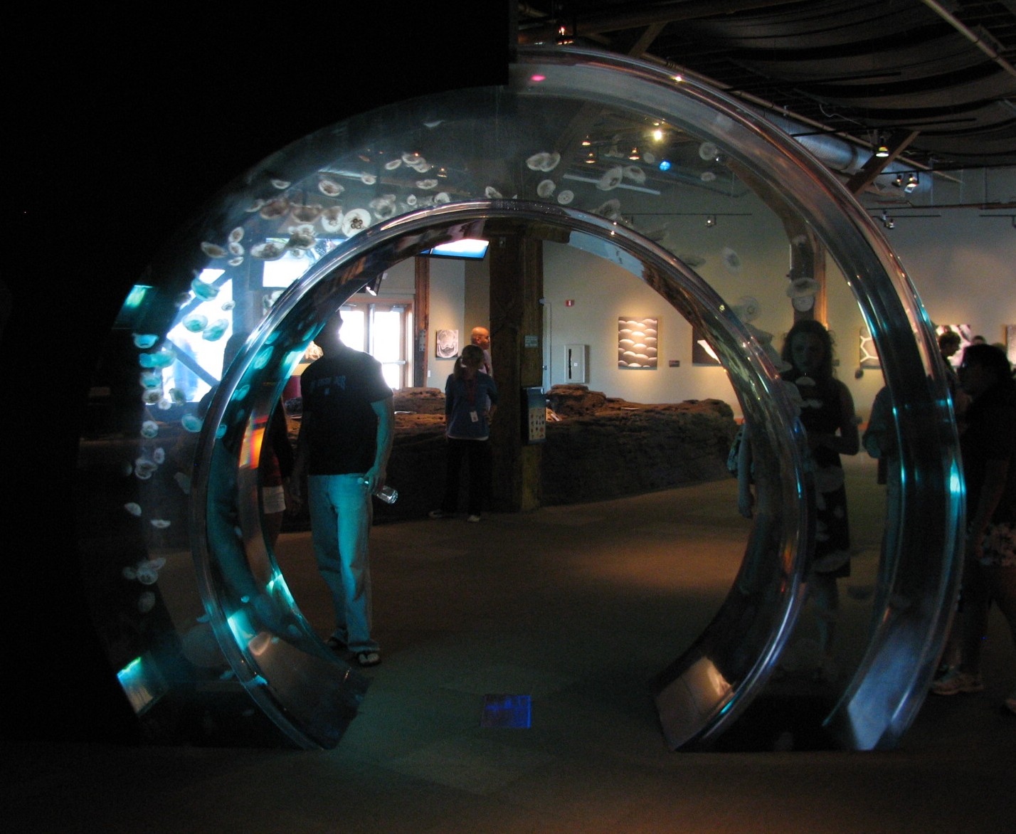 Life of a Drifter Exhibit