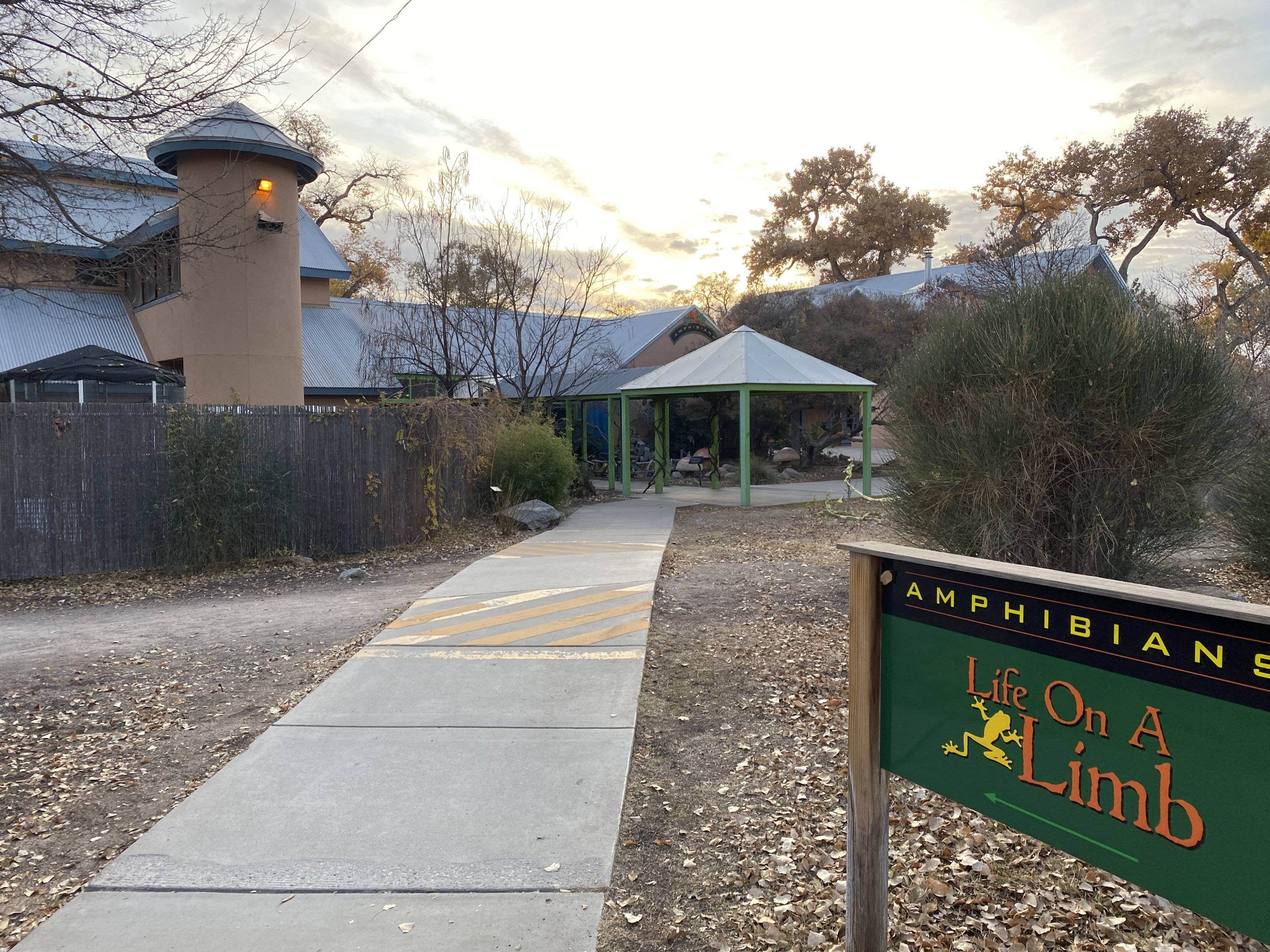 Life on a Limb (Amphibian Building)