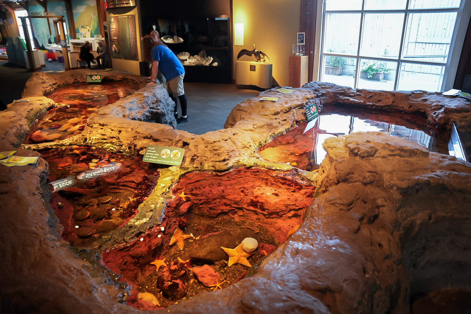 "Life on the Edge: Inland Seas" Touch Pool