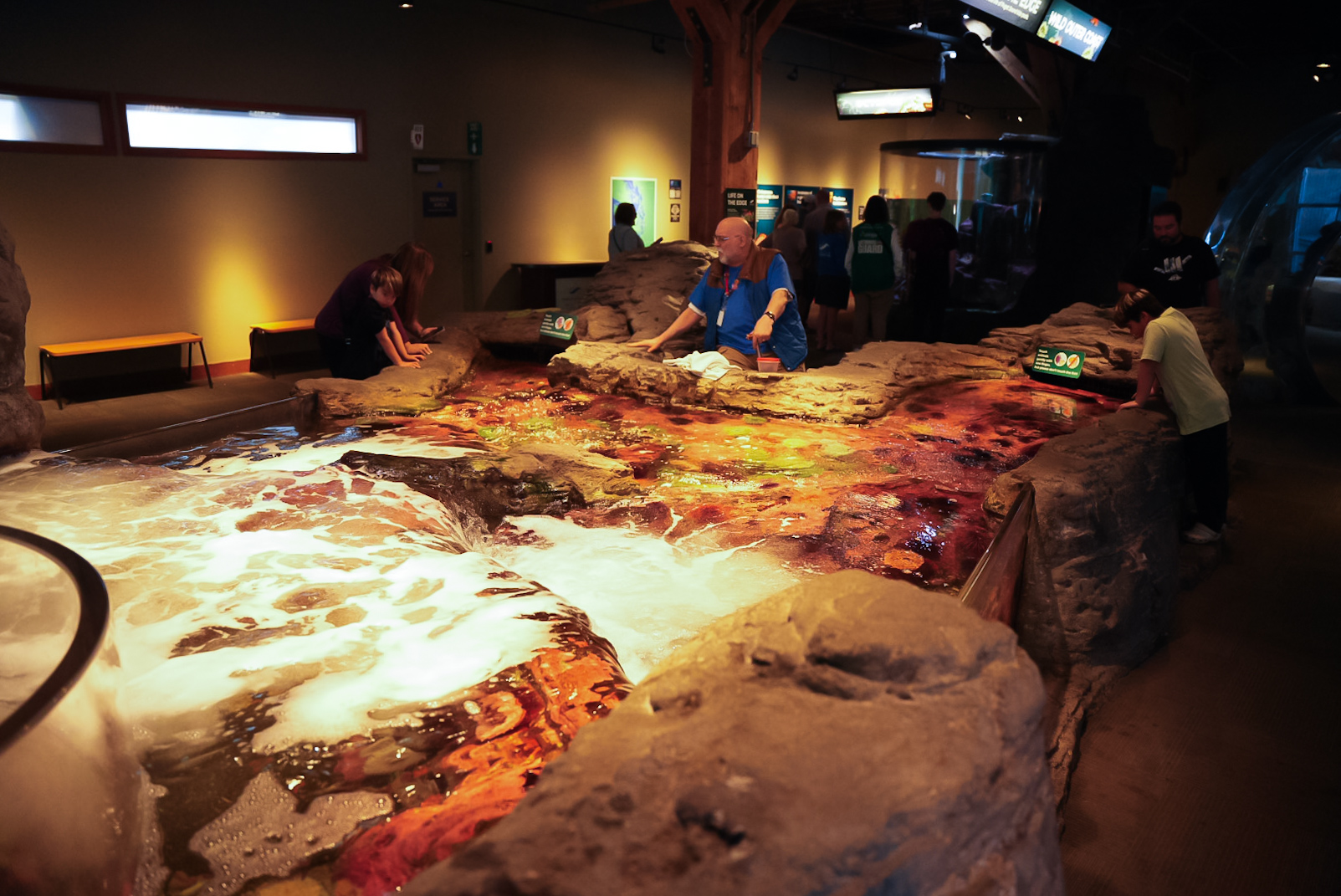 "Life on the Edge: Outer Coast" Touch Pool