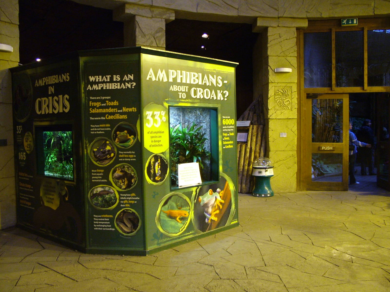 Life on the Lily Pad in Spirit of the Jaguar at Chester 06/12/09