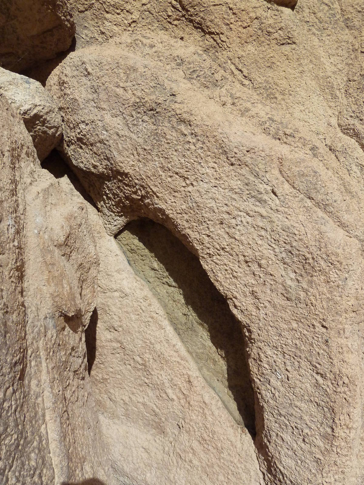 Life On The Rocks - Bark Scorpion Exhibit