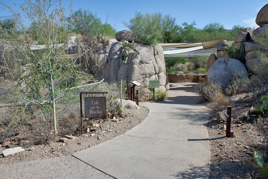 Life On The Rocks exhibit