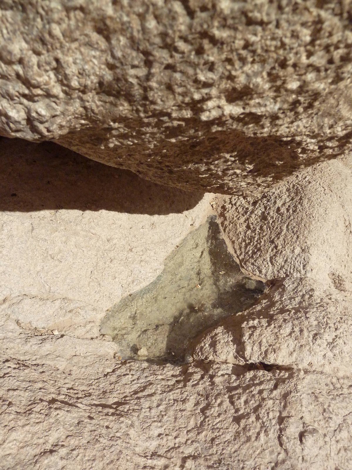 Life On The Rocks - Stripe-Tailed Scorpion Exhibit