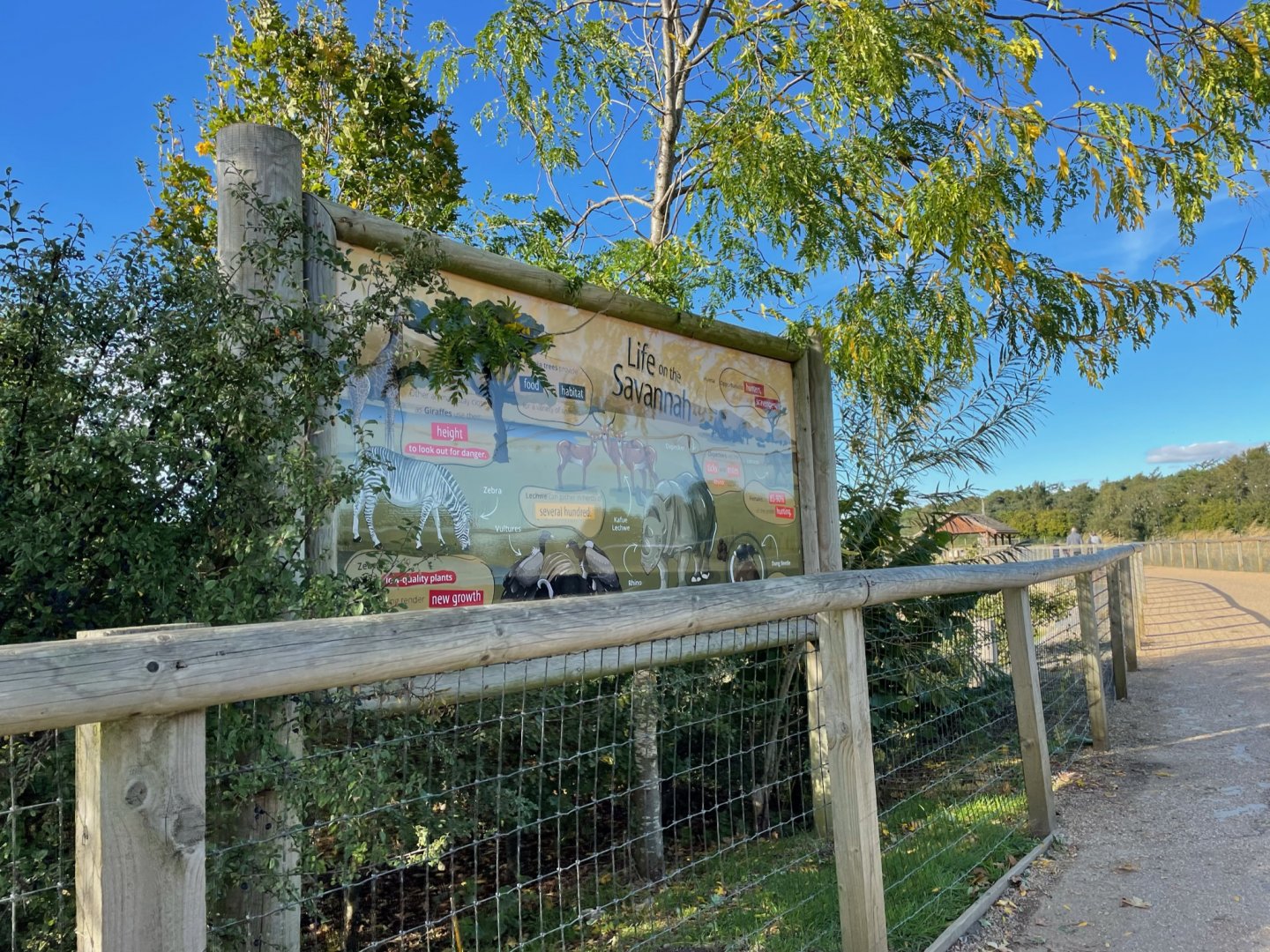Life on the Savannah Sign at Yorkshire Wildlife Park (October 2021)