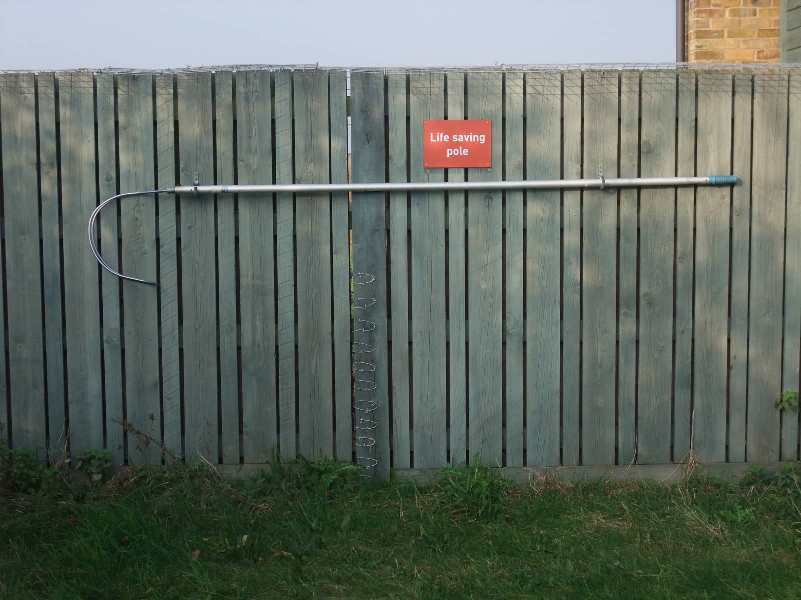 Life-saving Pole at London WWT (Barnes), 15/11/11