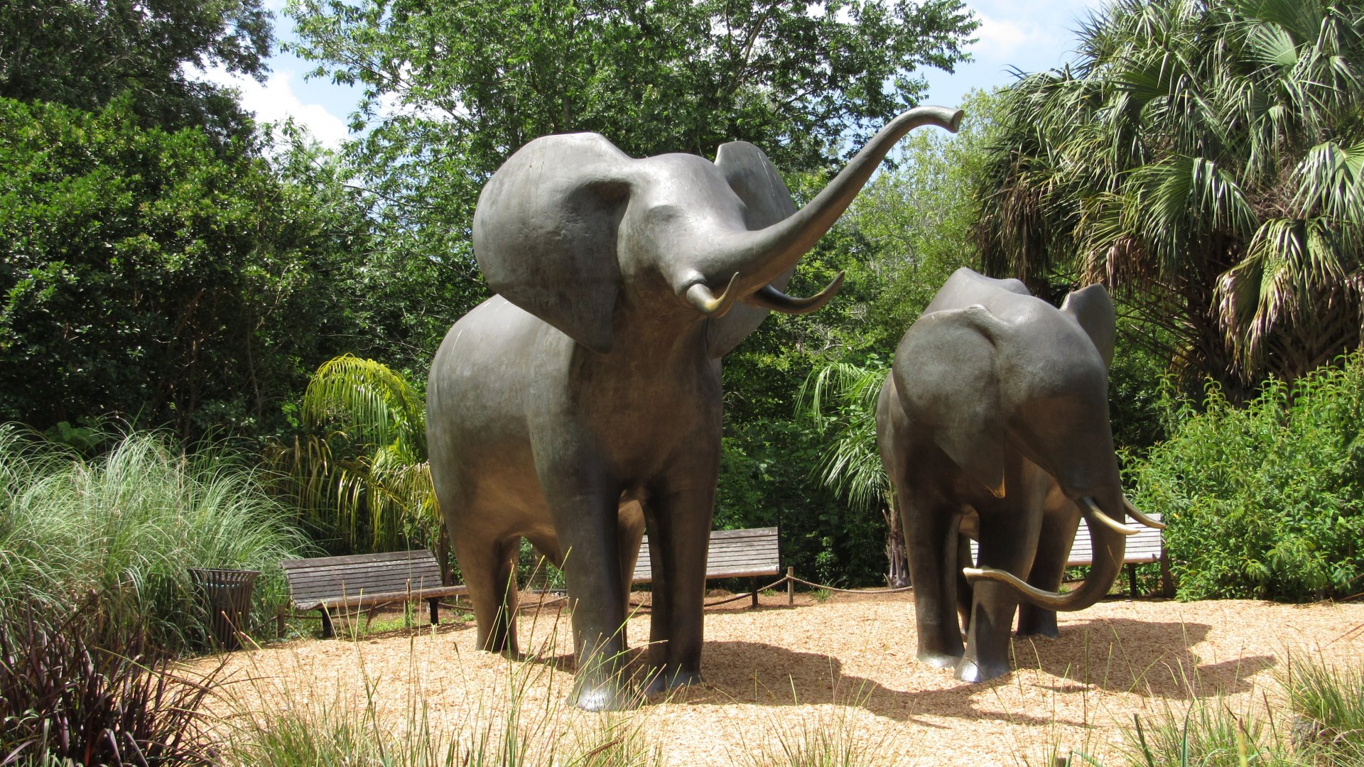 Life Sized African Elephant Sculptures