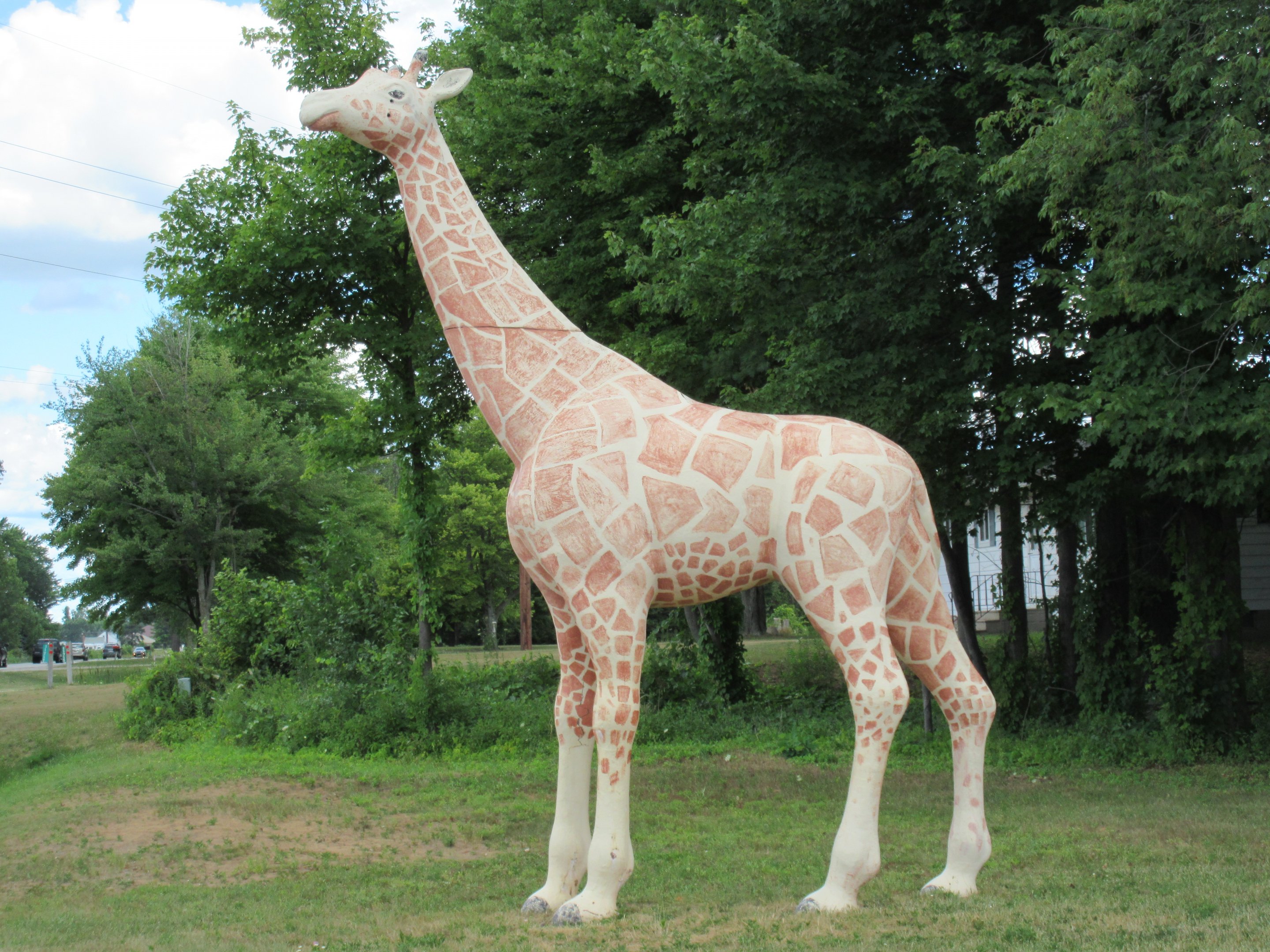 Life-Sized Giraffe Statue