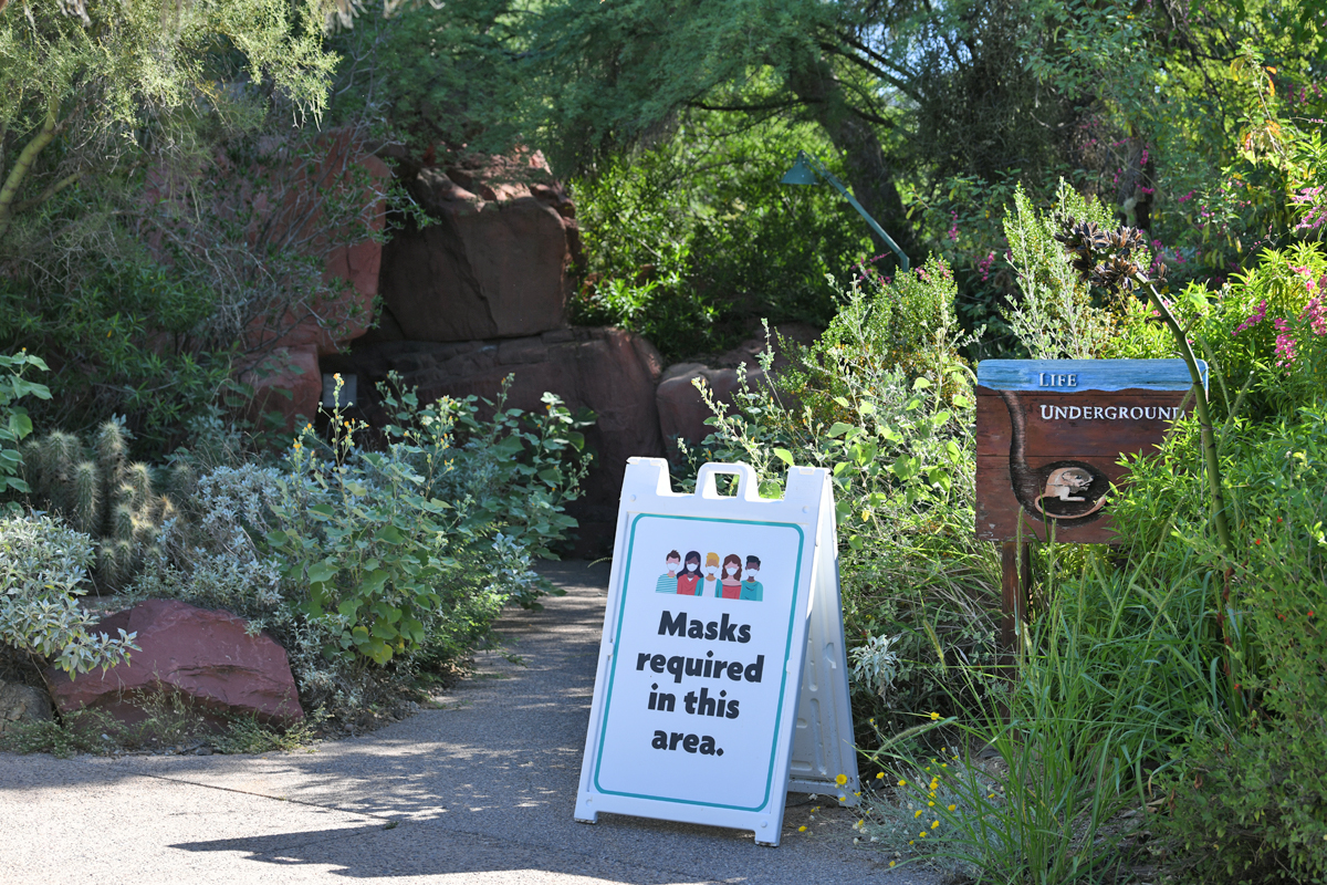 Life Underground exhibit entrance