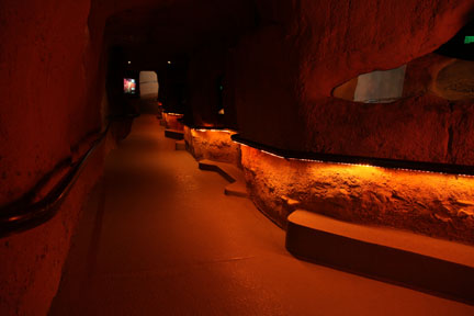 Life Underground exhibit