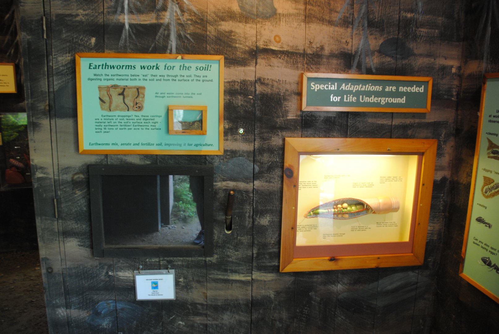 Life Underground - interpretive materials