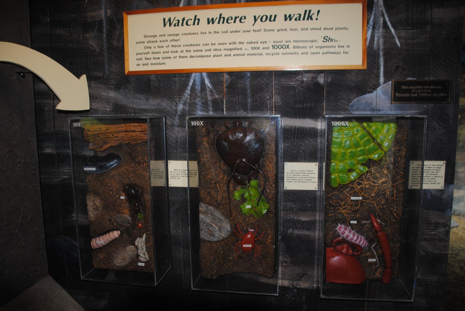 Life Underground - interpretive materials