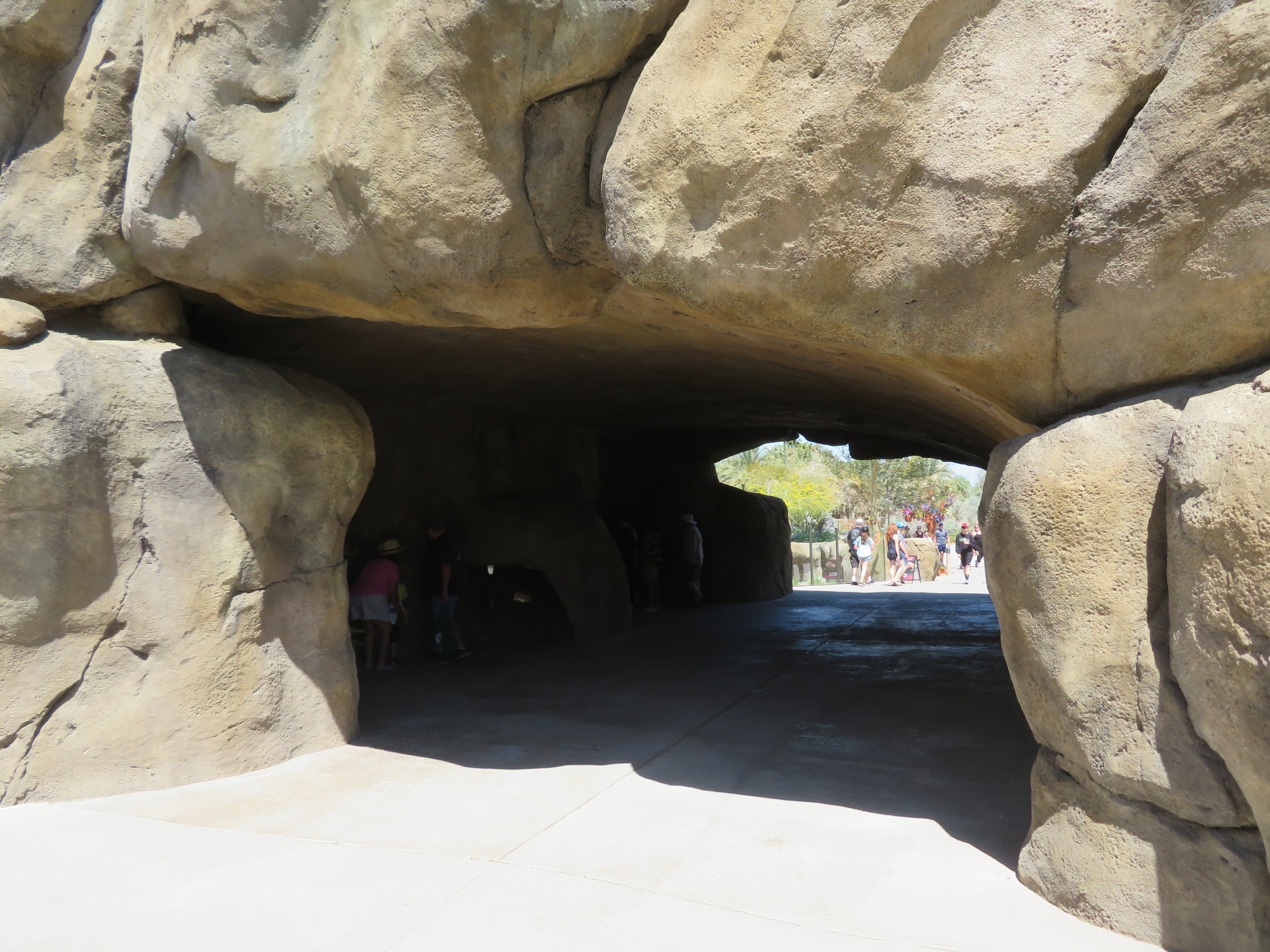 Life Underground Tunnel