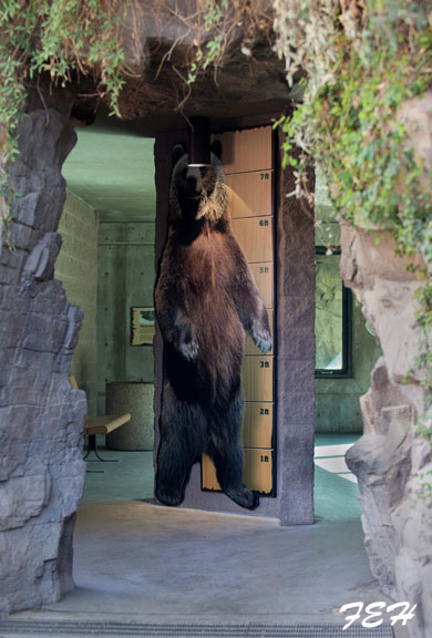 lifesize grizzly chart