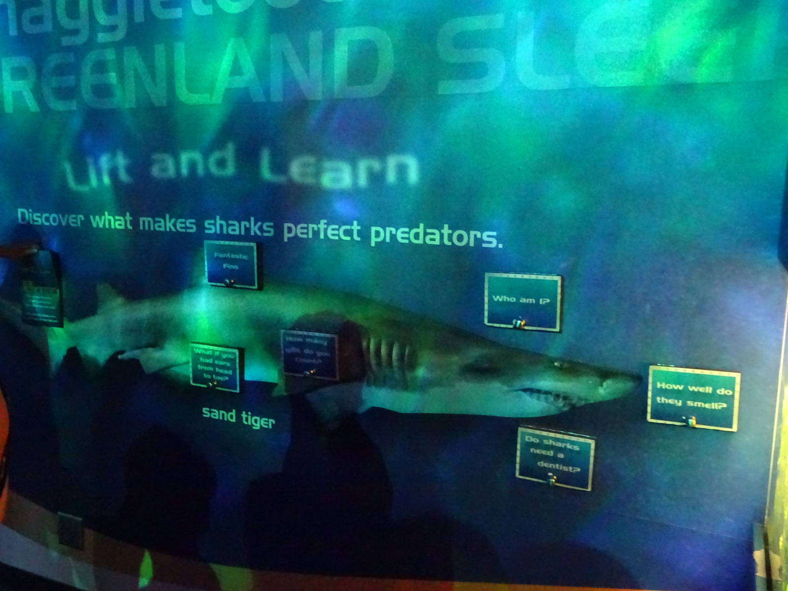 Lift and Learn Display at SeaWorld Orlando