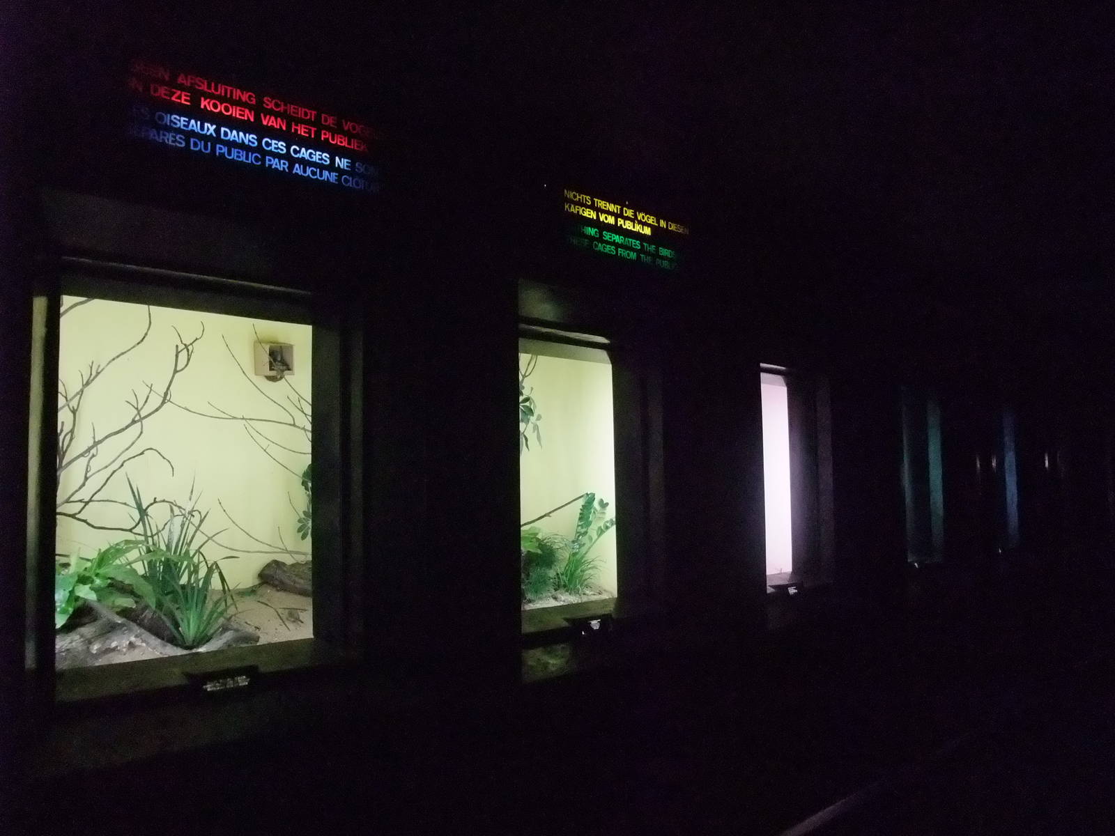 Light-Box aviaries at Antwerp Zoo Jan 09