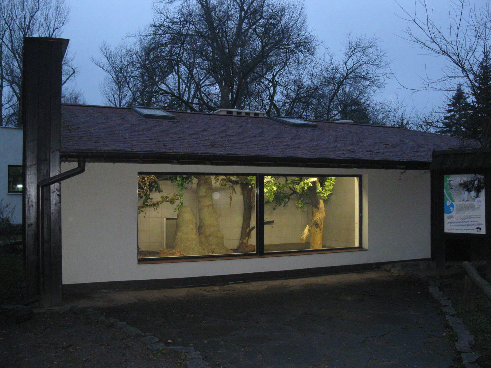 Light in the Anteater House