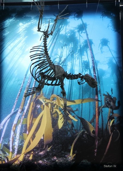 like a church glass window