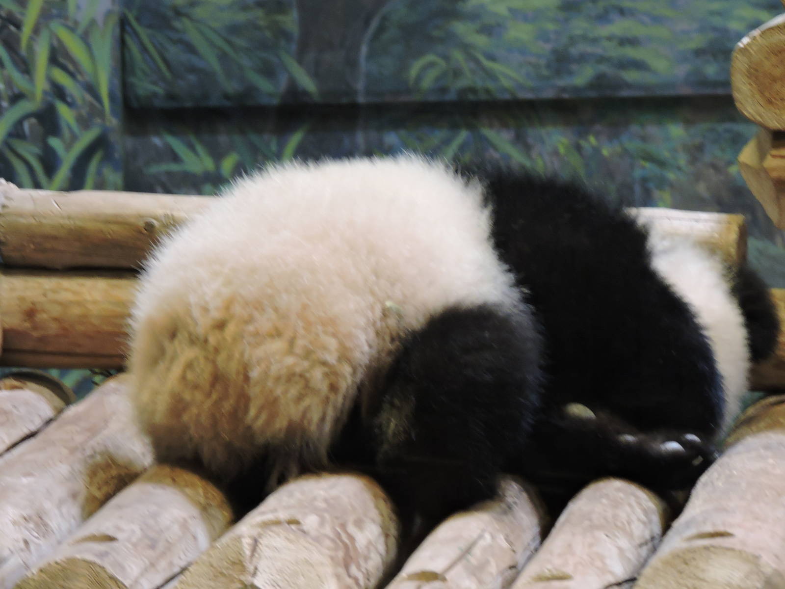 ...Like potential son or daughter