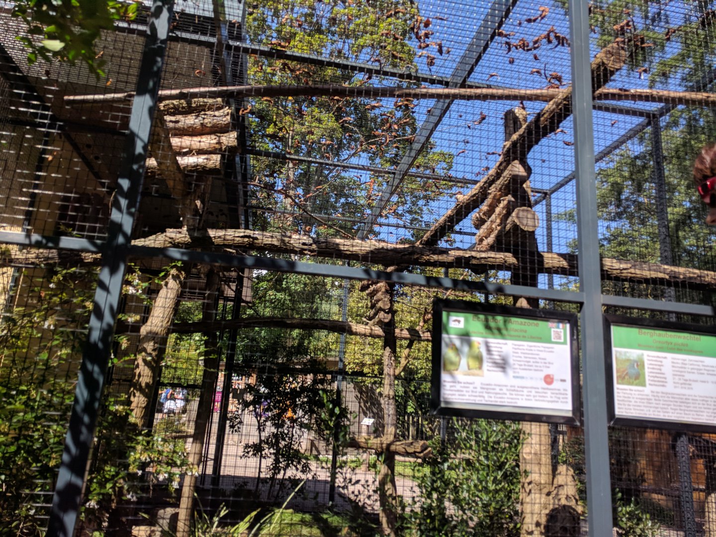 Lilacine Amazon Aviary