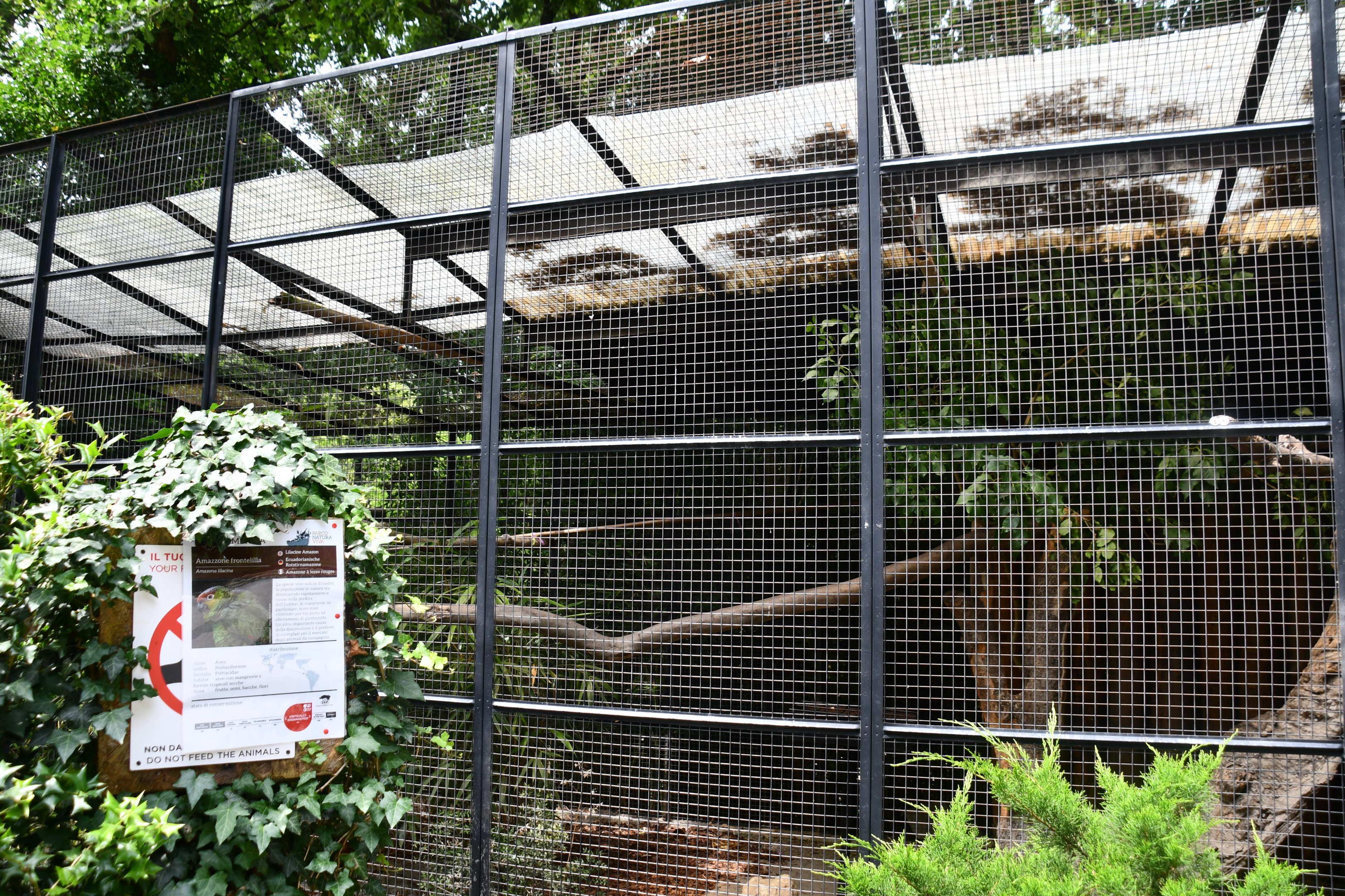 Lilacine Amazon aviary