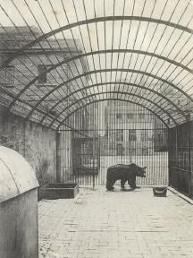 Lilford Park Northants