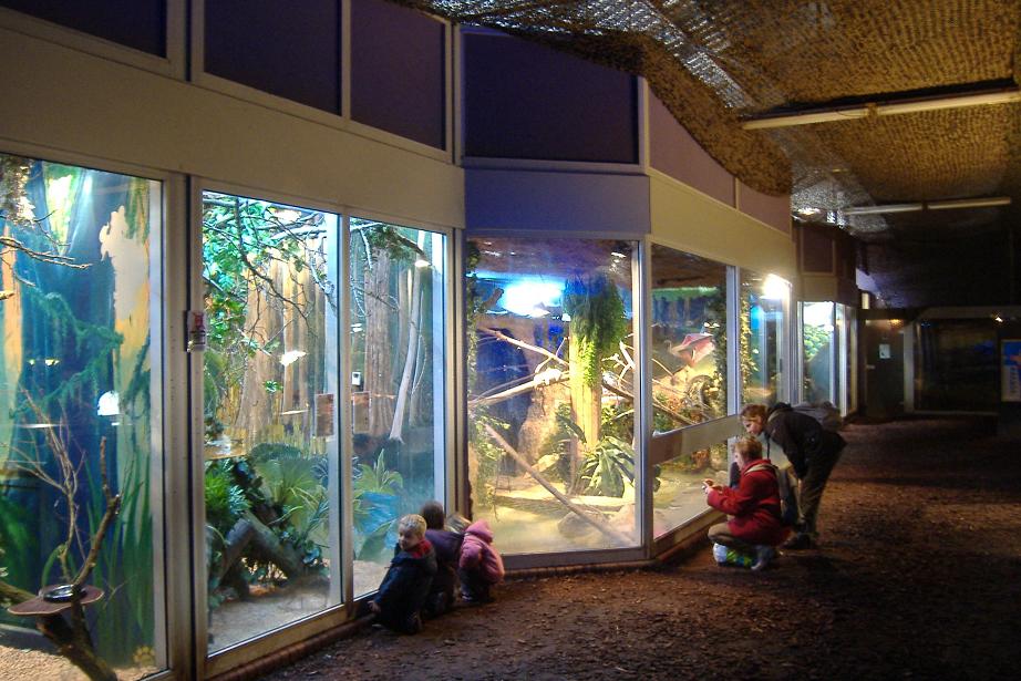Lille reptile house