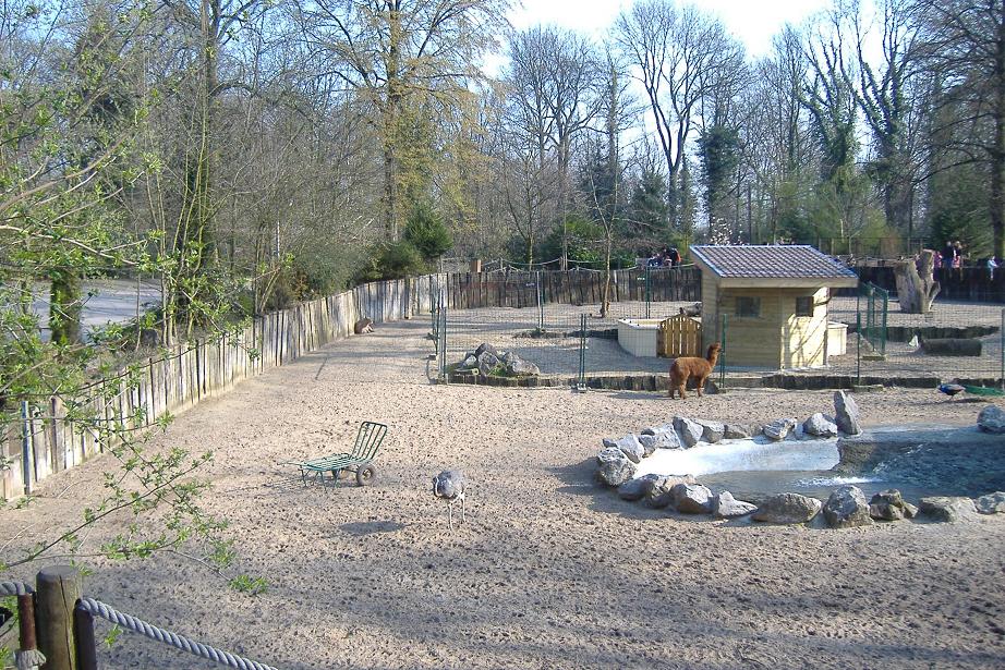 Lille SAmerican paddock