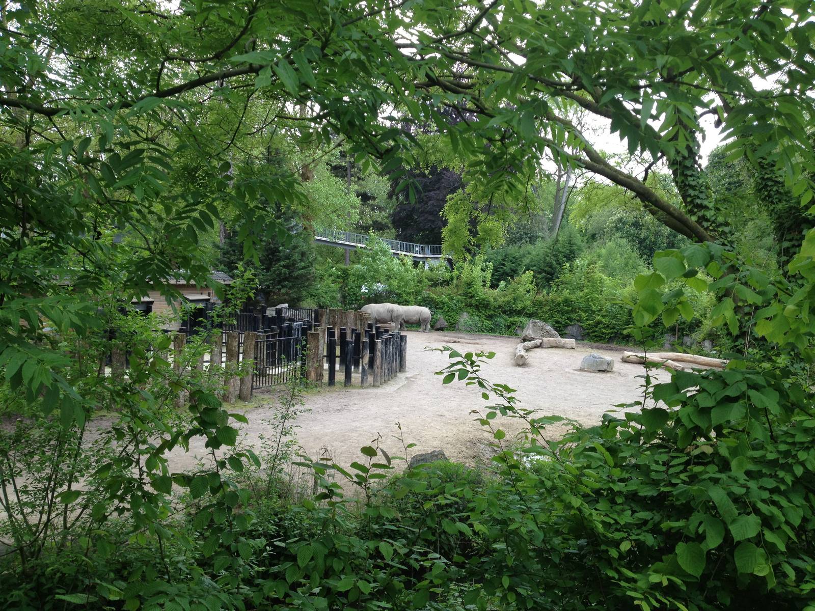 Lille Zoo African paddock