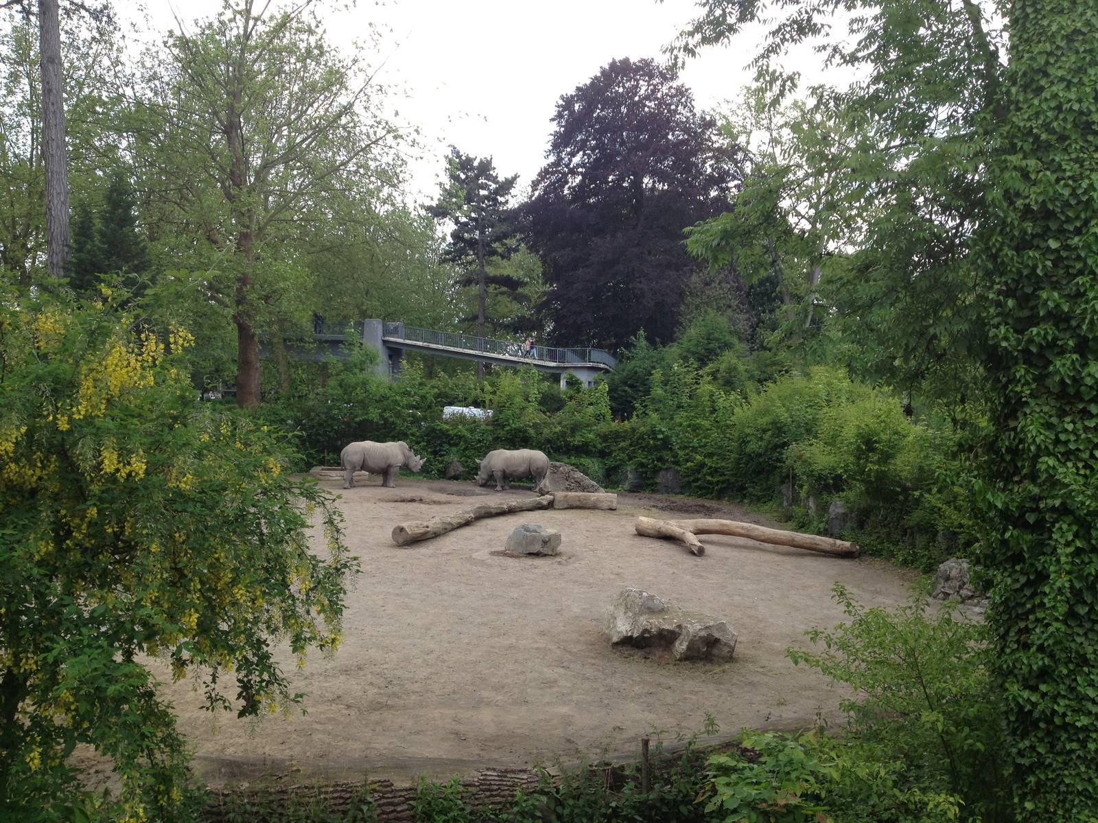 Lille Zoo African paddock