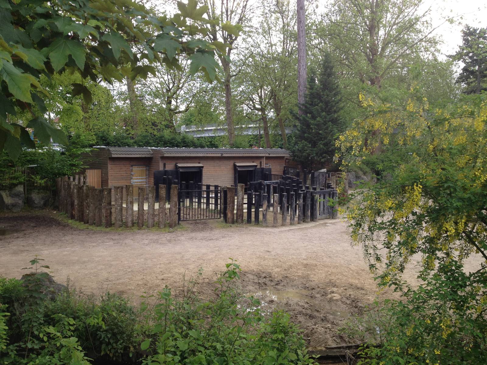 Lille Zoo African paddock