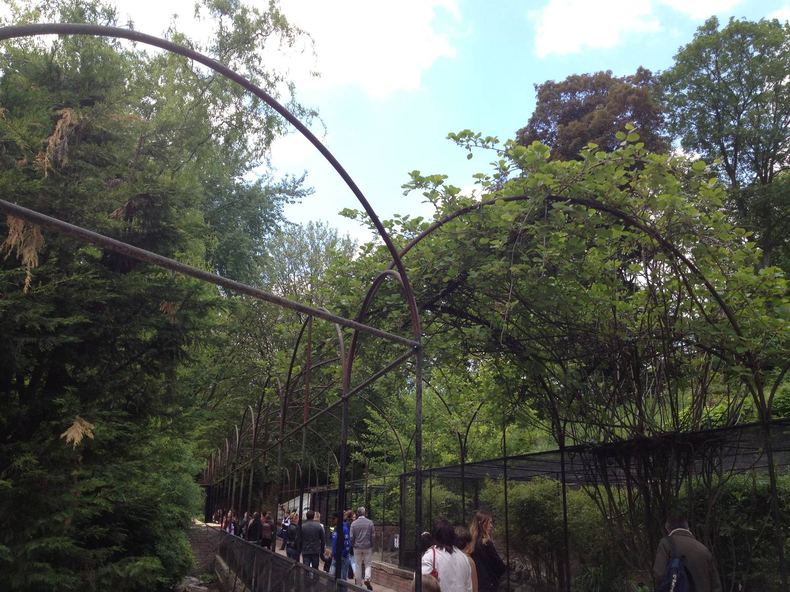 Lille Zoo avenue lined by traditional cages and pens