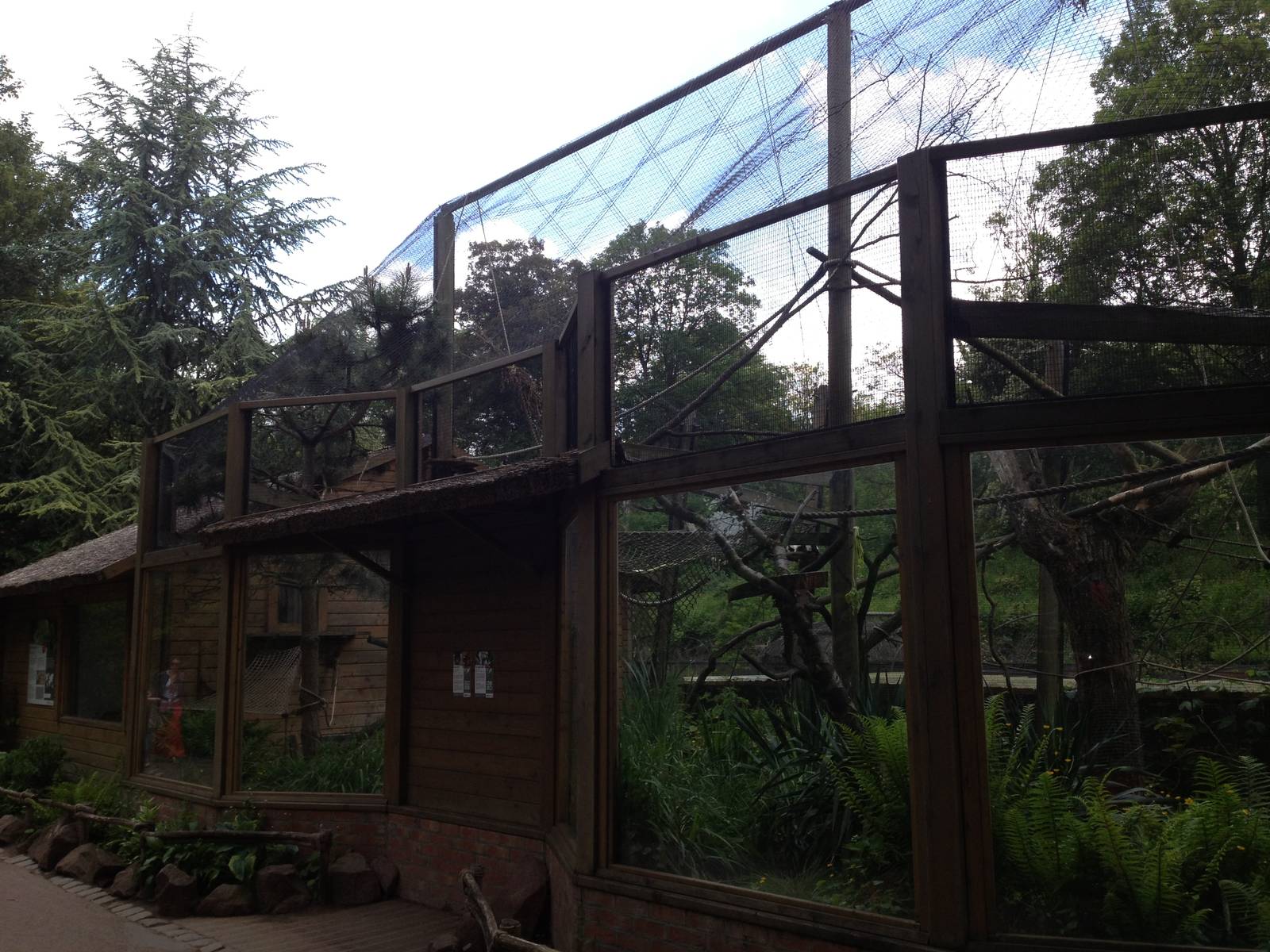 Lille Zoo lemur enclosure