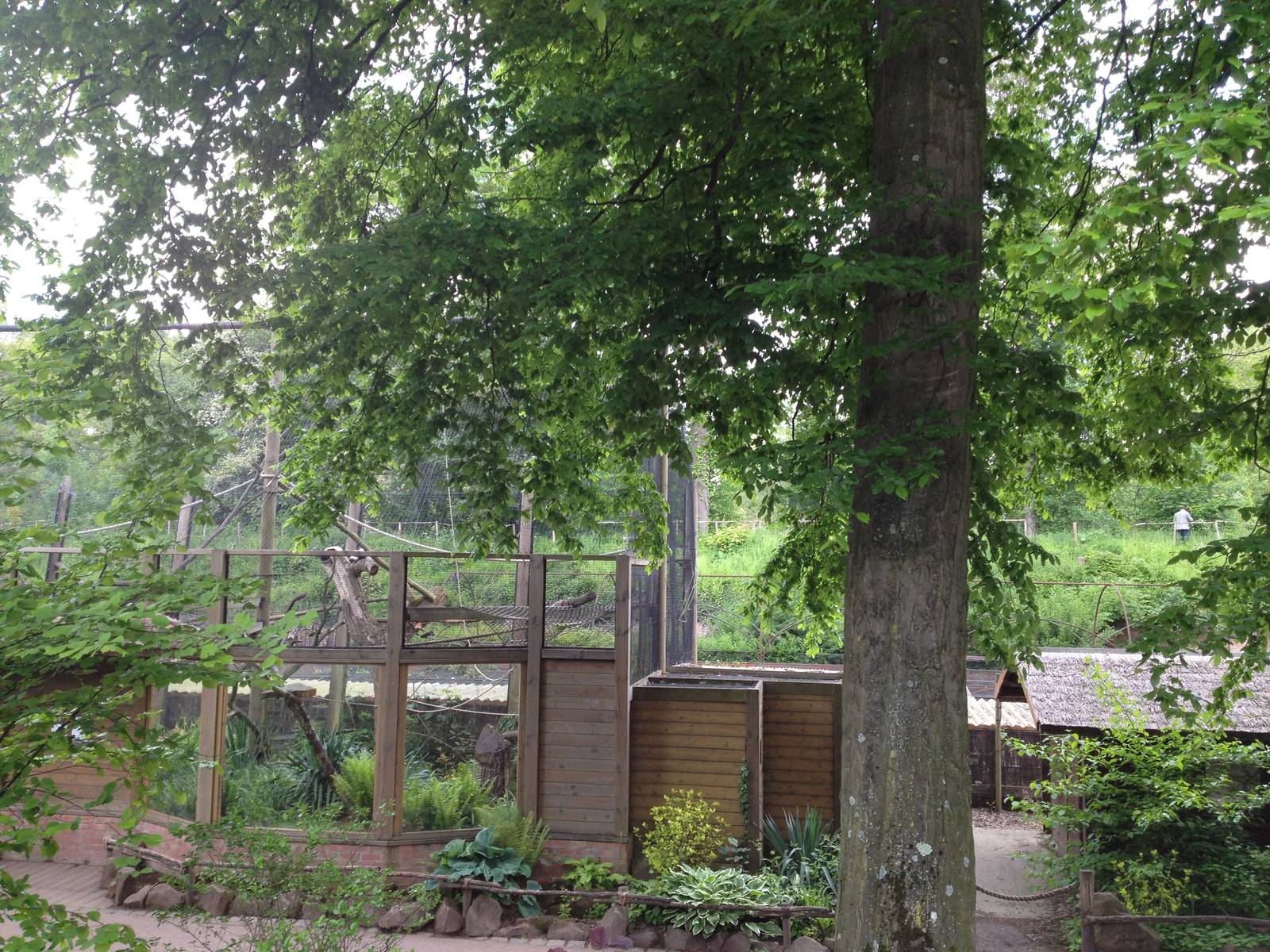 Lille Zoo lemur enclosure