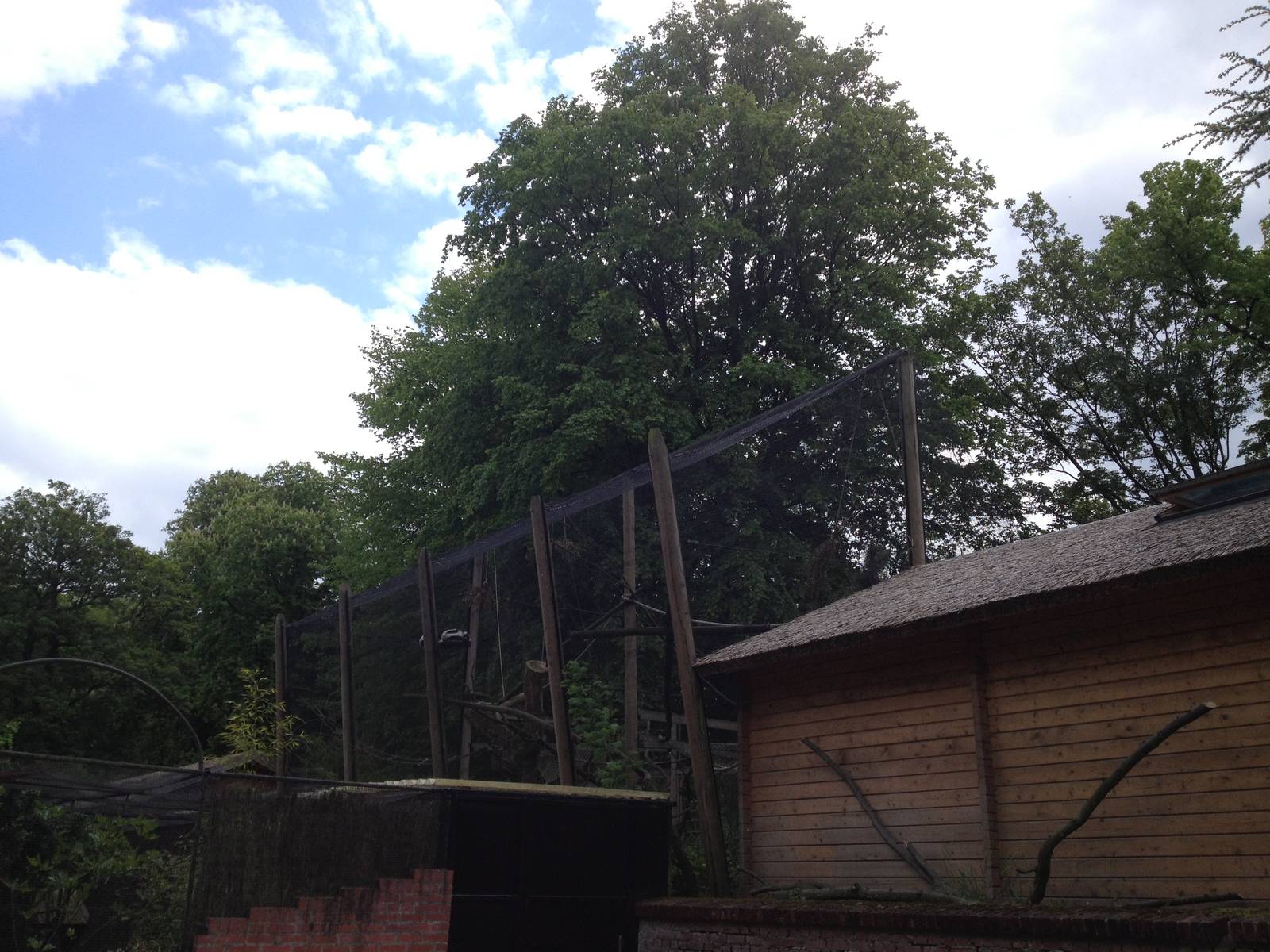 Lille Zoo lemur enclosure