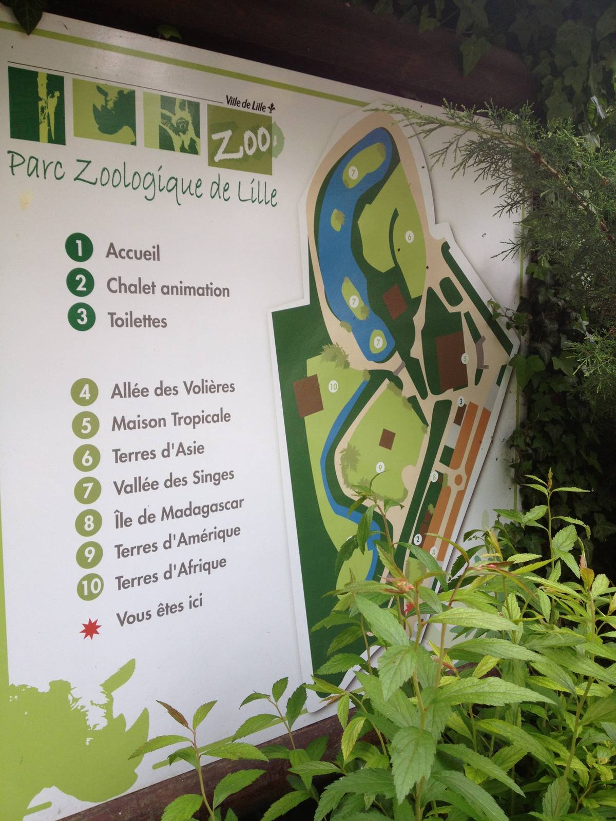 Lille Zoo map