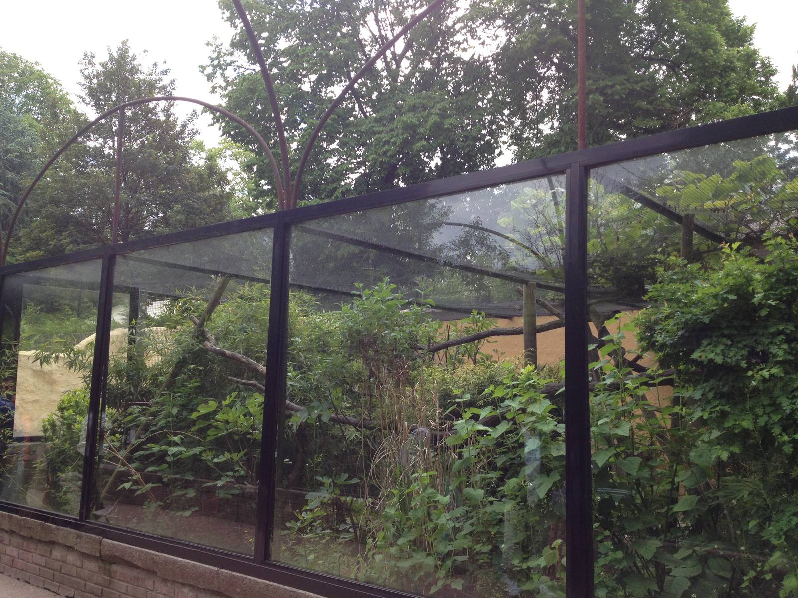 Lille Zoo saki monkey