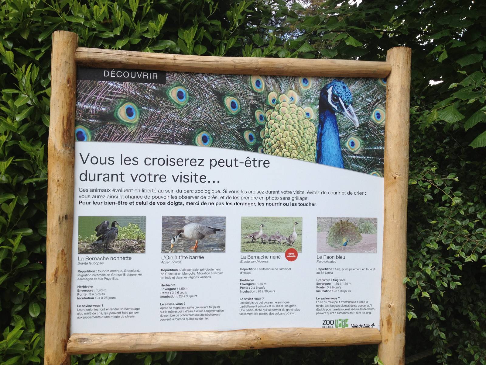 Lille Zoo signage