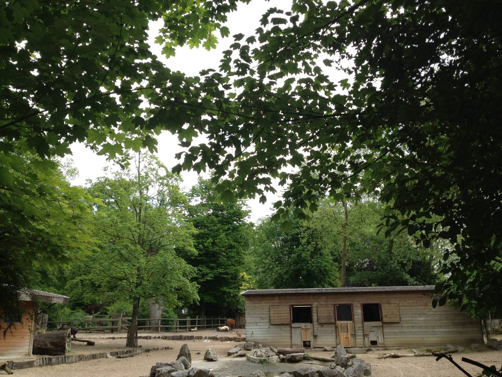 Lille Zoo South American paddock