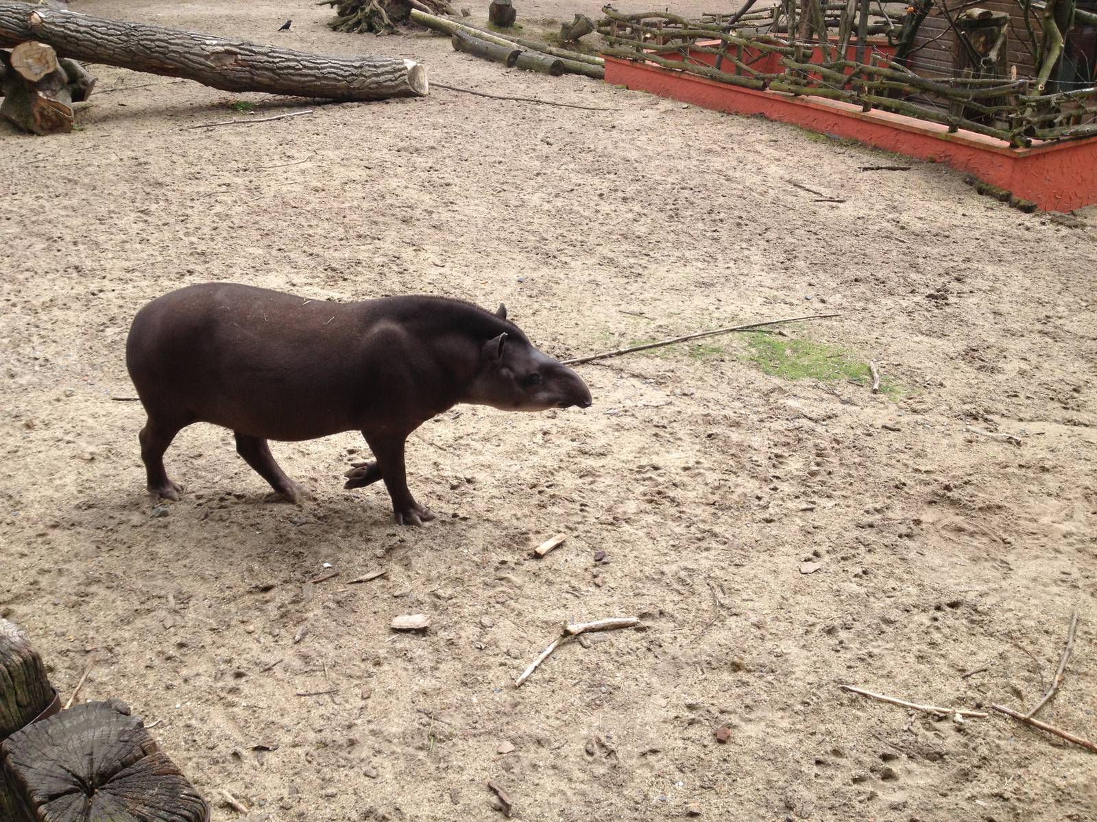Lille Zoo South American paddock