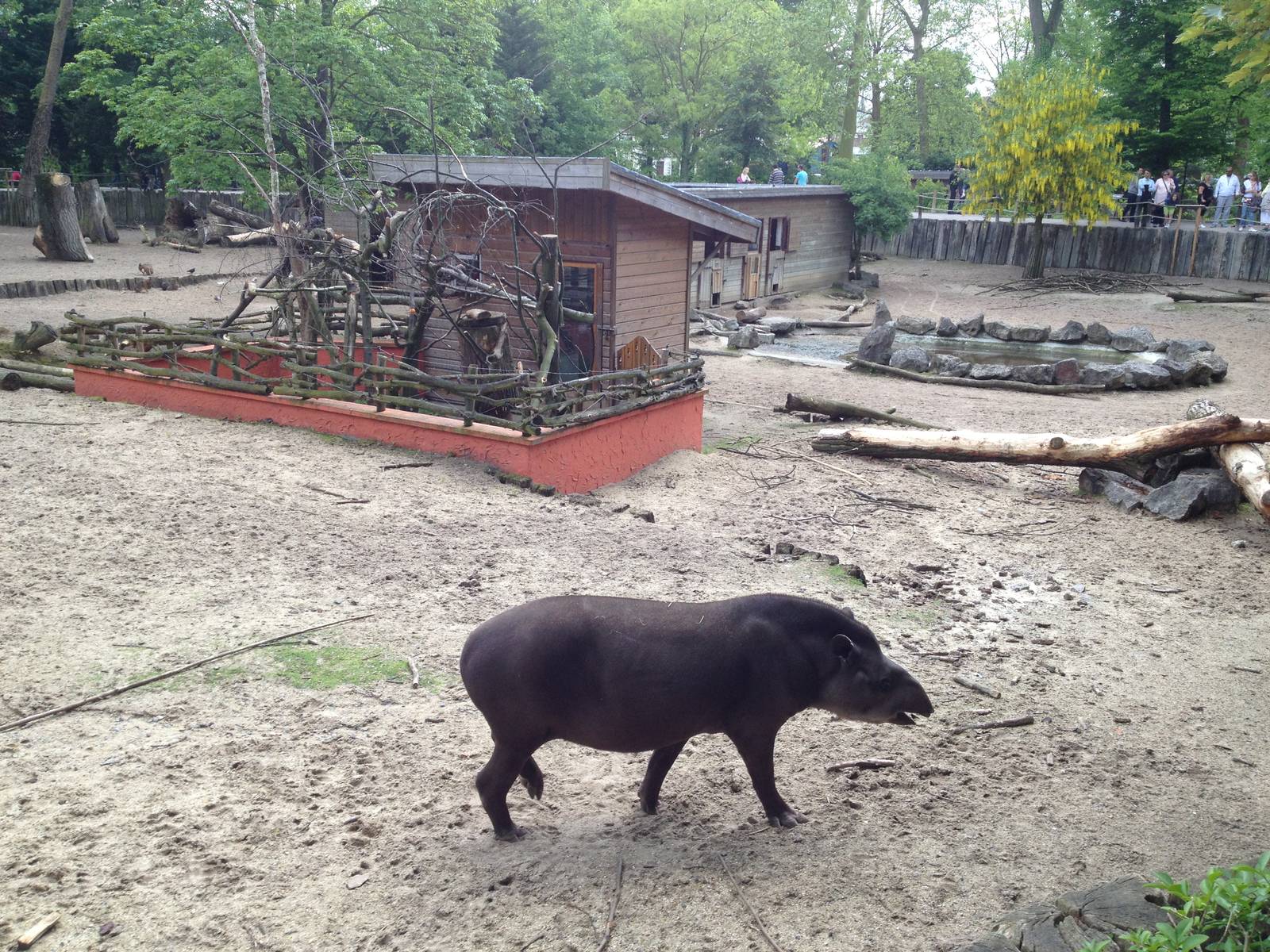Lille Zoo South American paddock